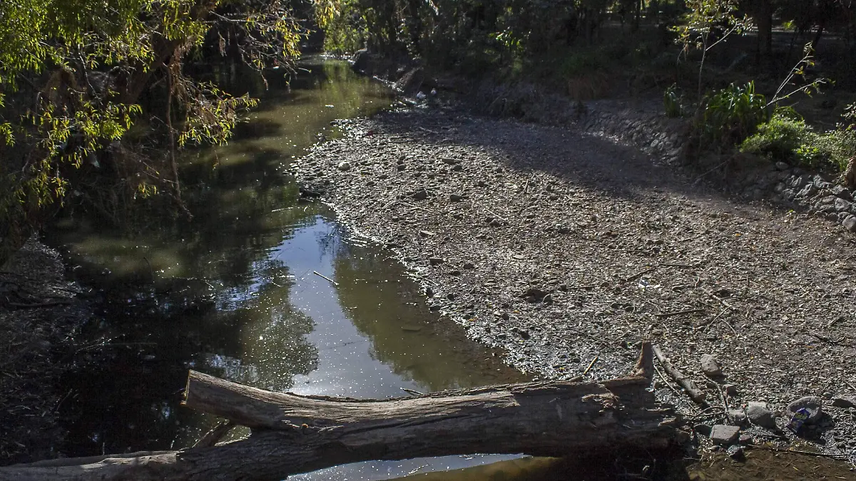 Reforestarán el río durante el próximo año. Foto Archivo
