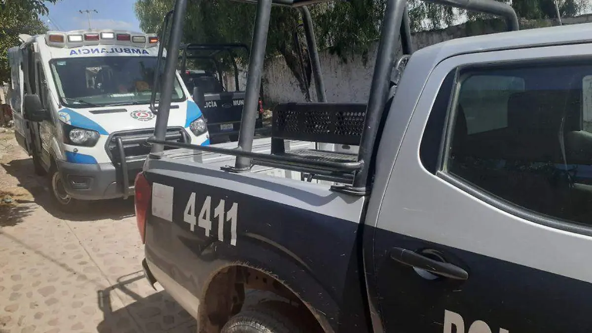 SJR Elementos de 