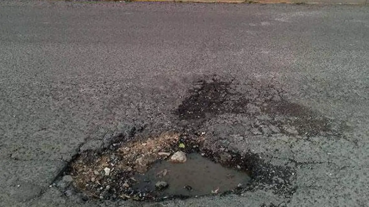 bache