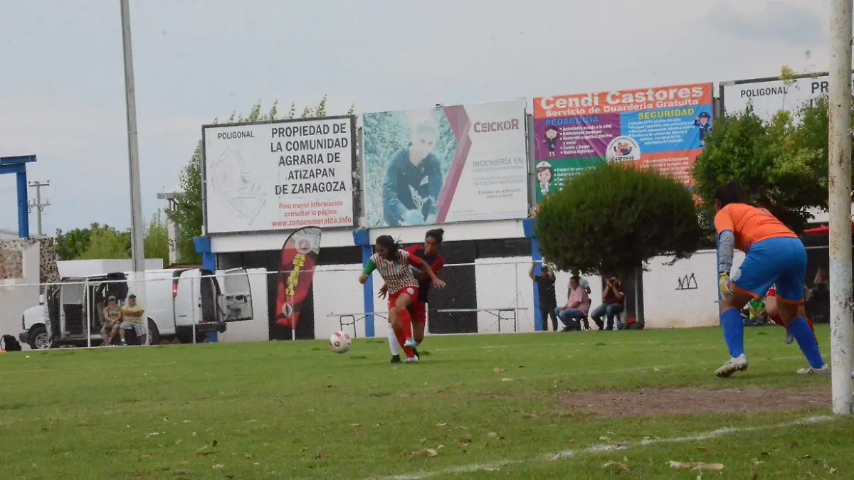 31 01 PRINCIPAL PARTIDOS