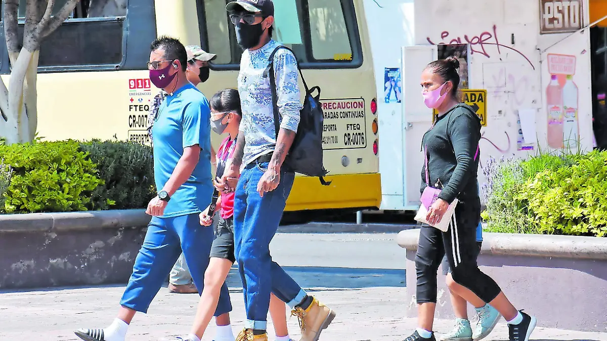 SJR En lo que va de la pandemia por Covid_CMYK