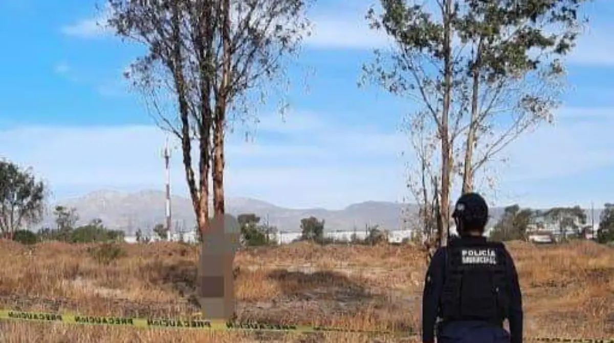 WhatsApp Image 2021-02-24 at 6.43.27 PM