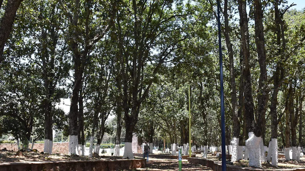 sjr Es un amplio lugar