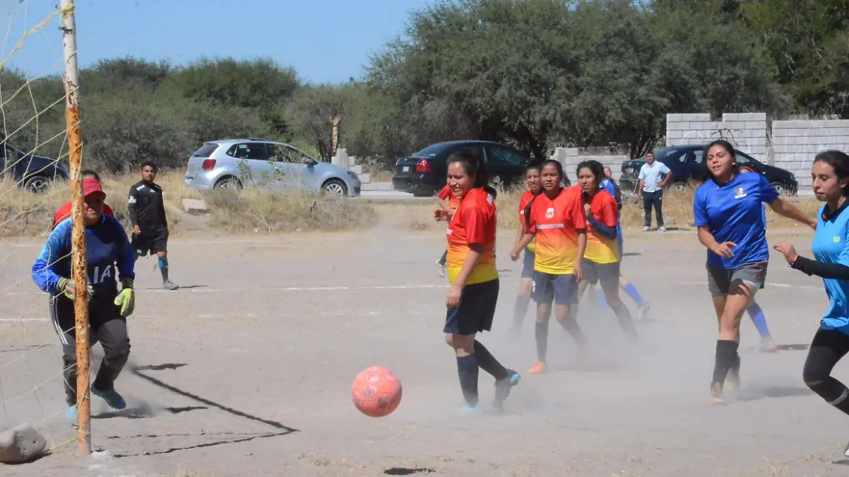 DEP 31 A 16 JORNADAS