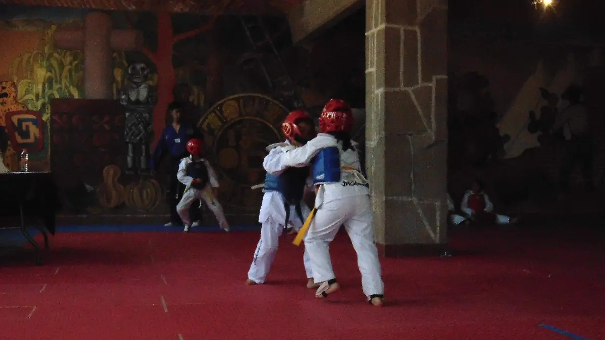 DEP 31 Los taekwondoines