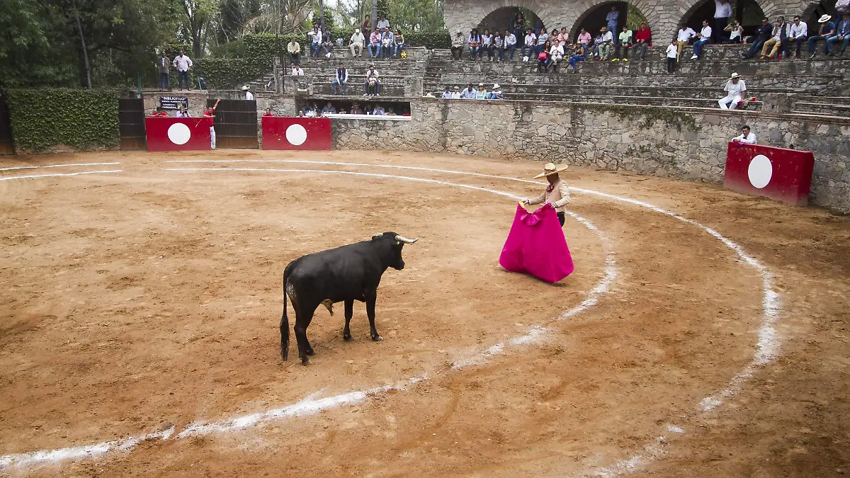 DEP 31 En el marco de la IV Convención