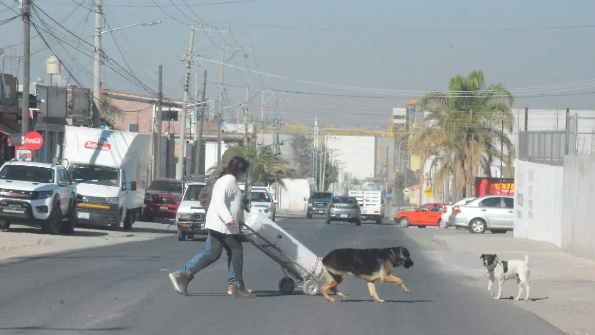 SJR Fortalecer Sanciones