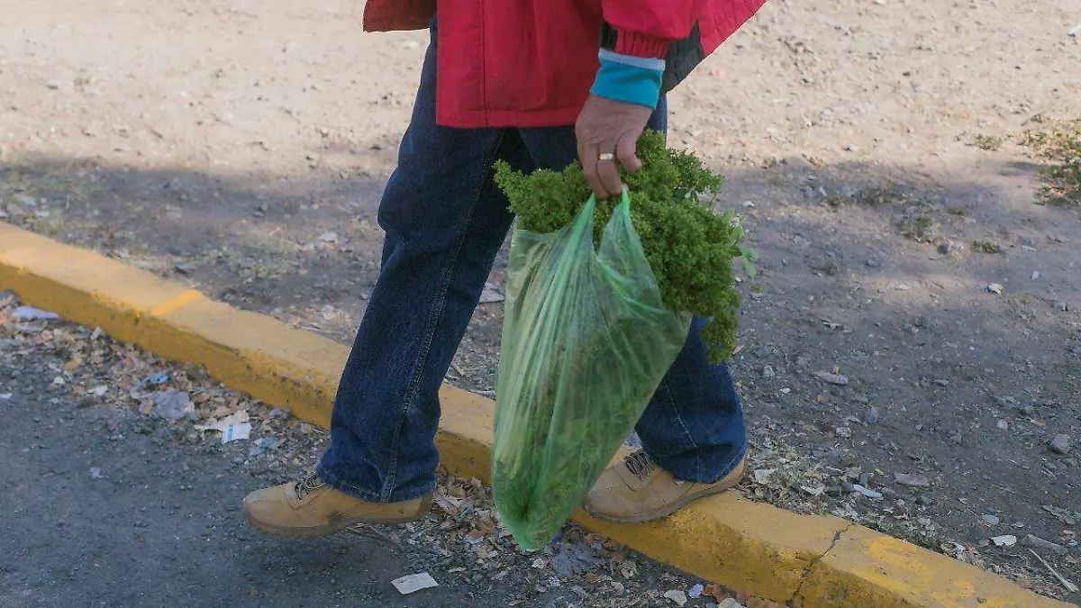 bolsas de plástico