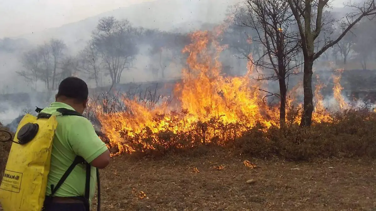 SJR Brigadas de emergencia