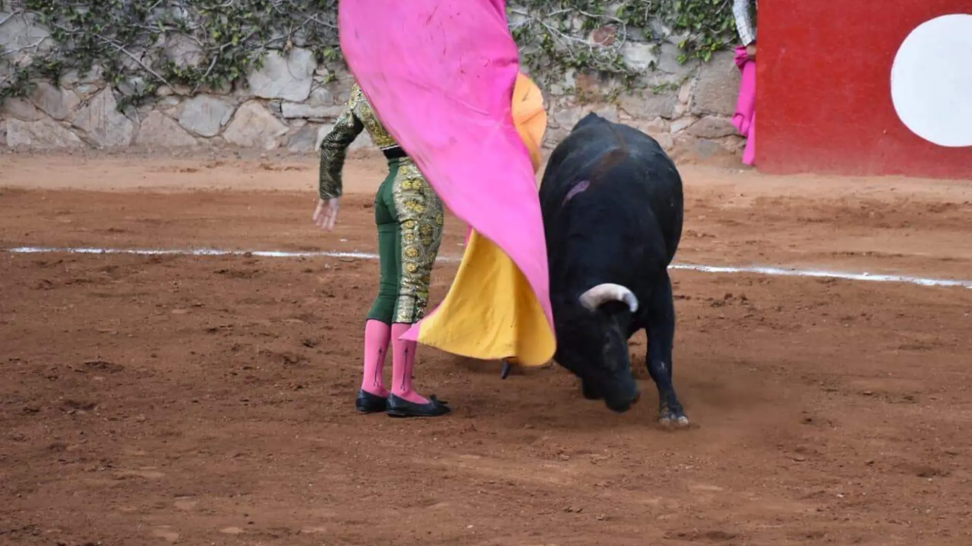 Toros