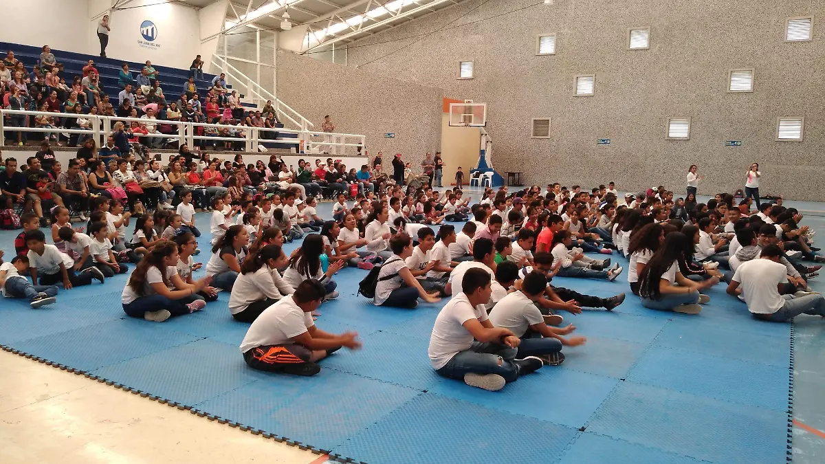 30 01 PRINCIPAL ENTUSIASTA