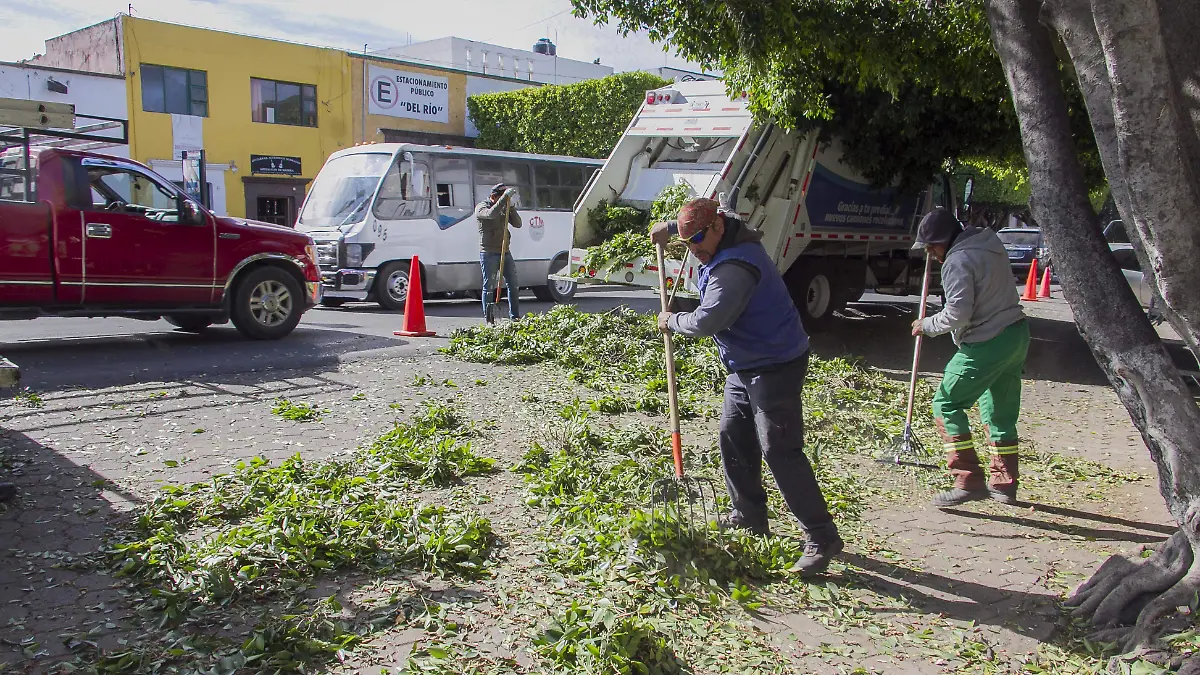 Requieren reforzar con personal Servicios Públicos Municipales.  Foto César Ortiz  El Sol de San Juan del Río.