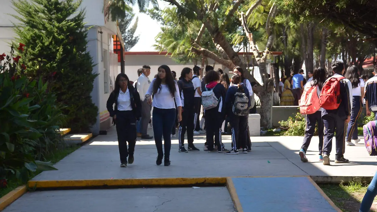 Los docentes están implementando nuevos modelos de enseñanza para la comprensión de las matemáticas.