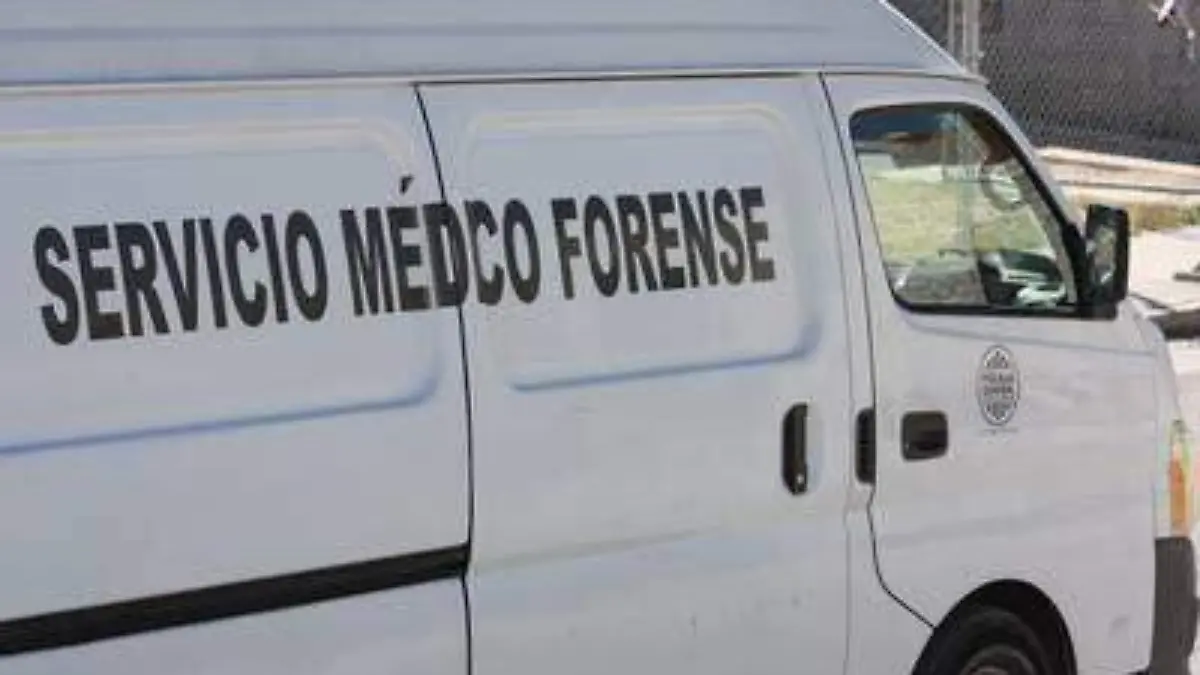 WhatsApp Image 2020-06-06 at 5.13.49 PM