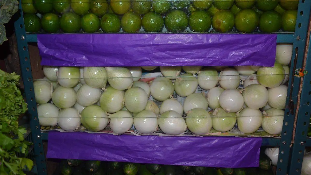 cebolla