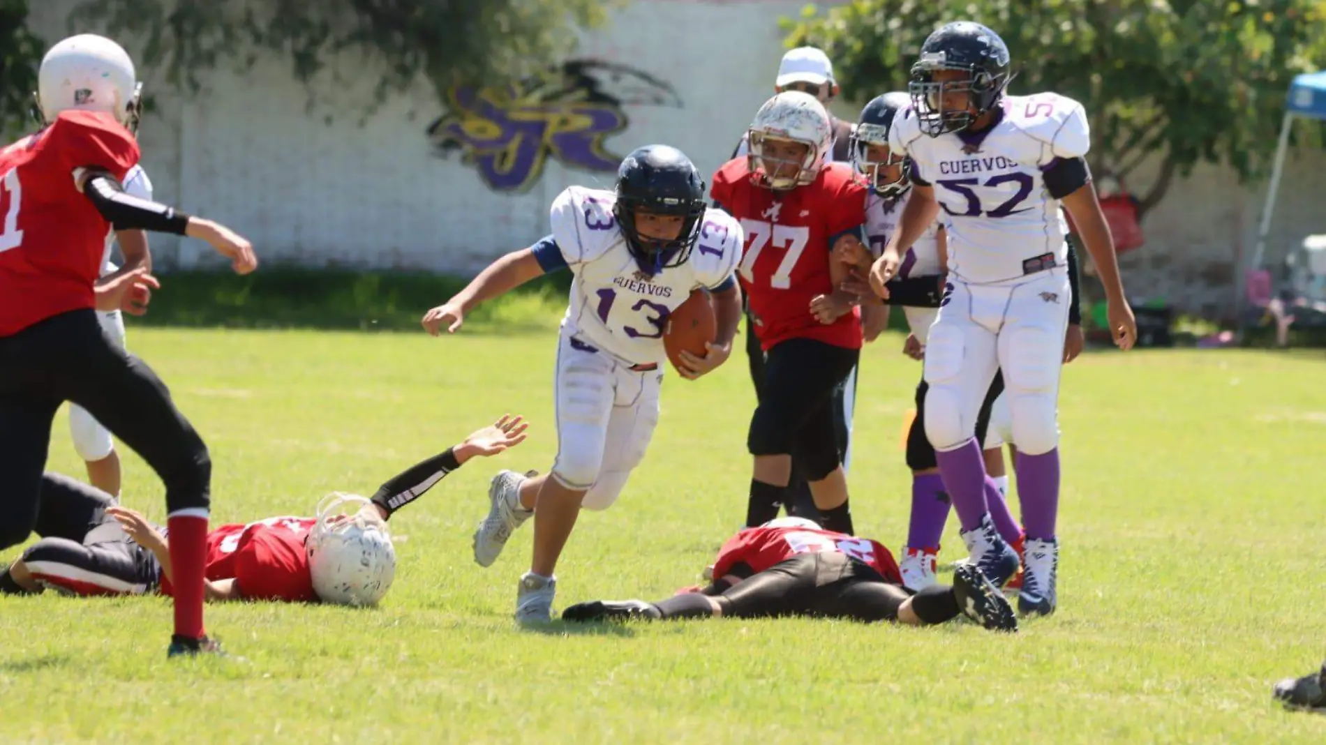 Cuervos