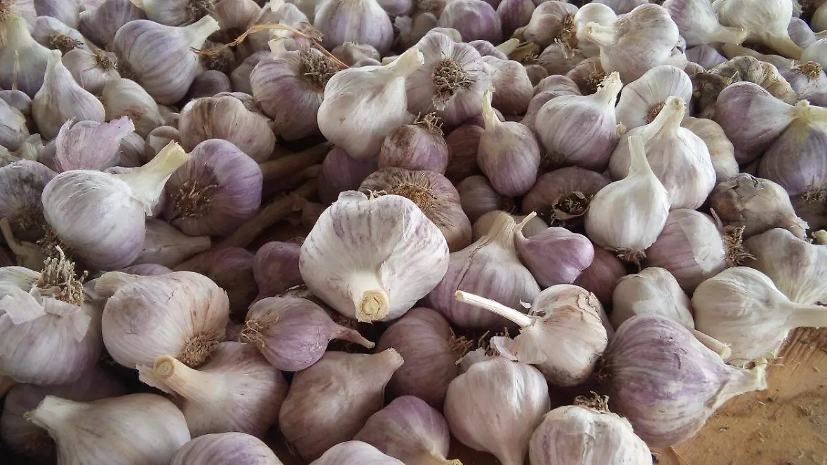Ajo