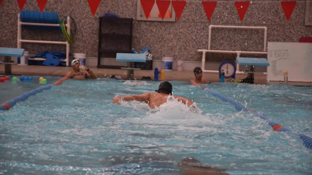 5ffa88d3-d530-4ef6-9326-8c8a7372ff10