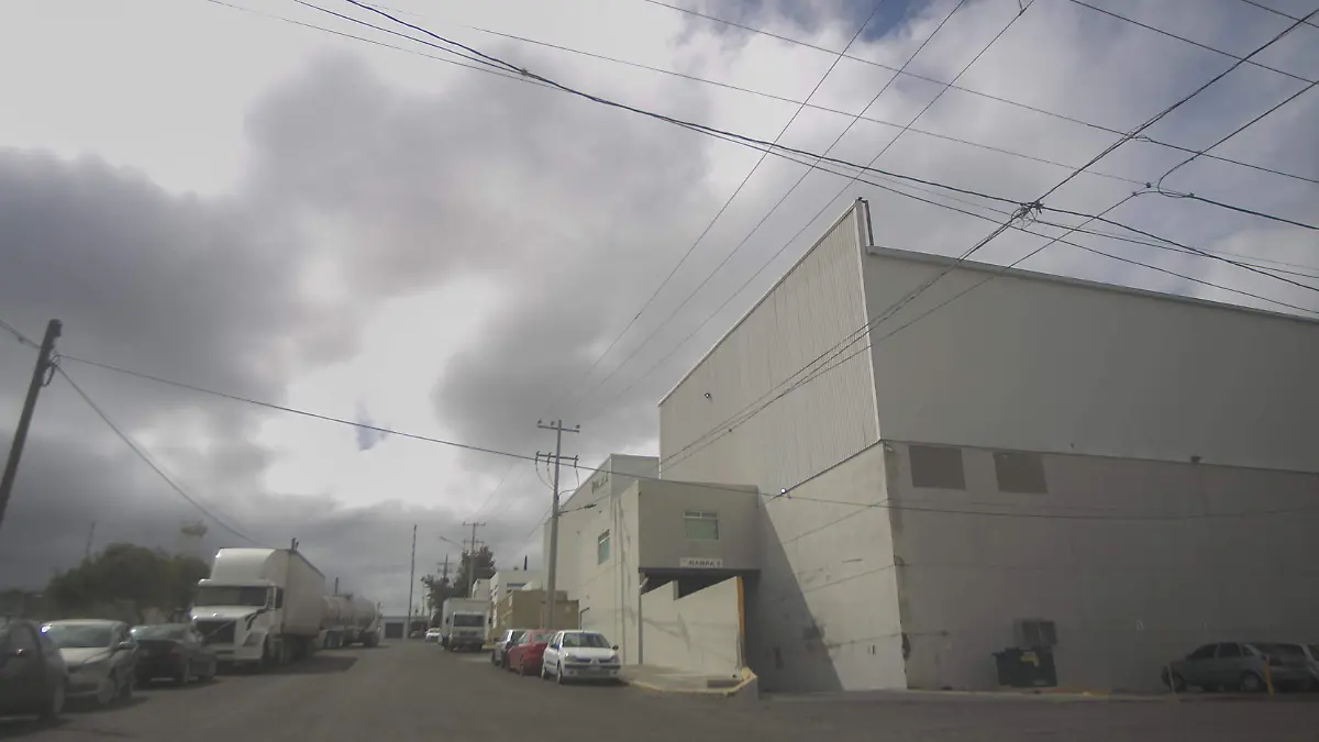 SJR Reportan caida de