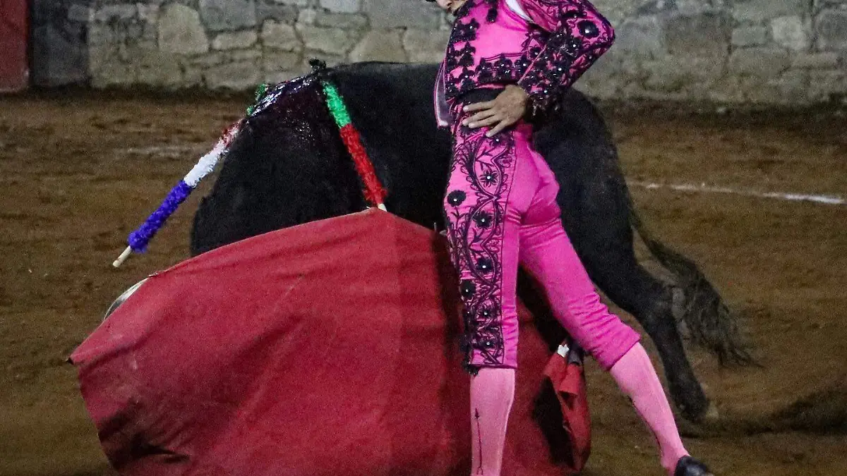 toros