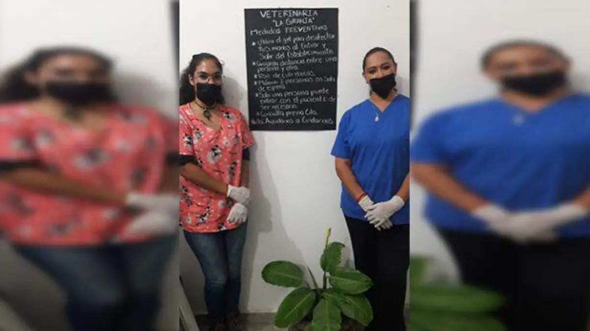 Veterinarias son estrictas con las medidas de prevención. Cortesía Colegio de Veterinarios.