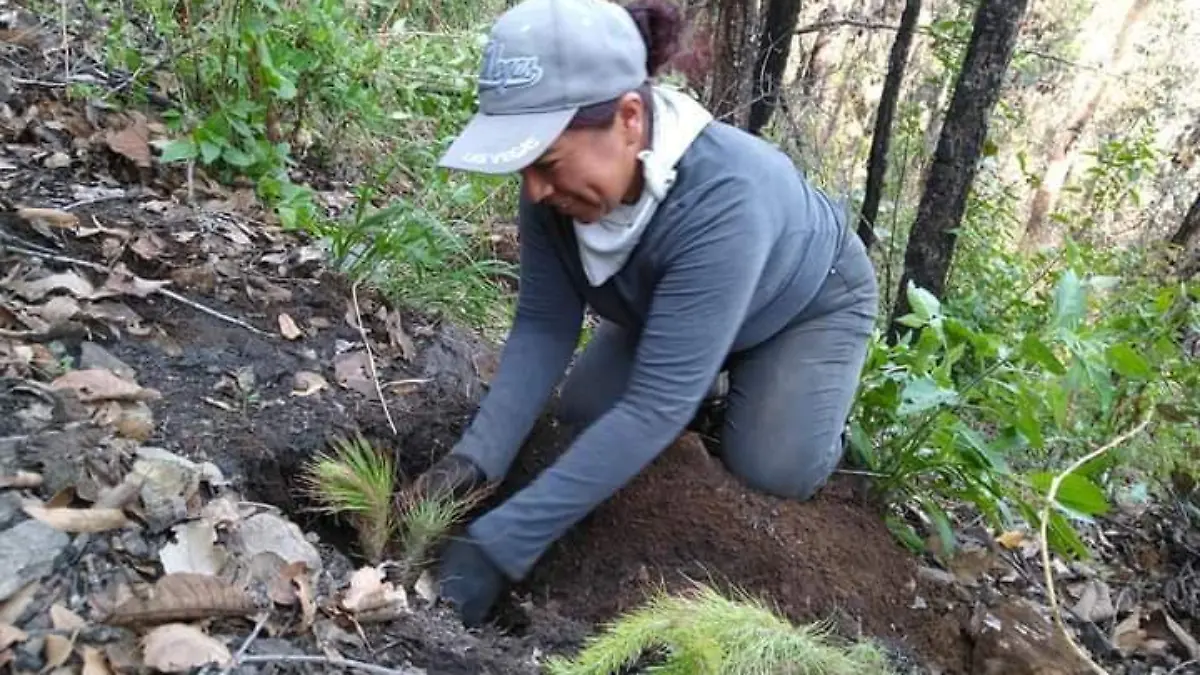 SJR Pobladores otomíes