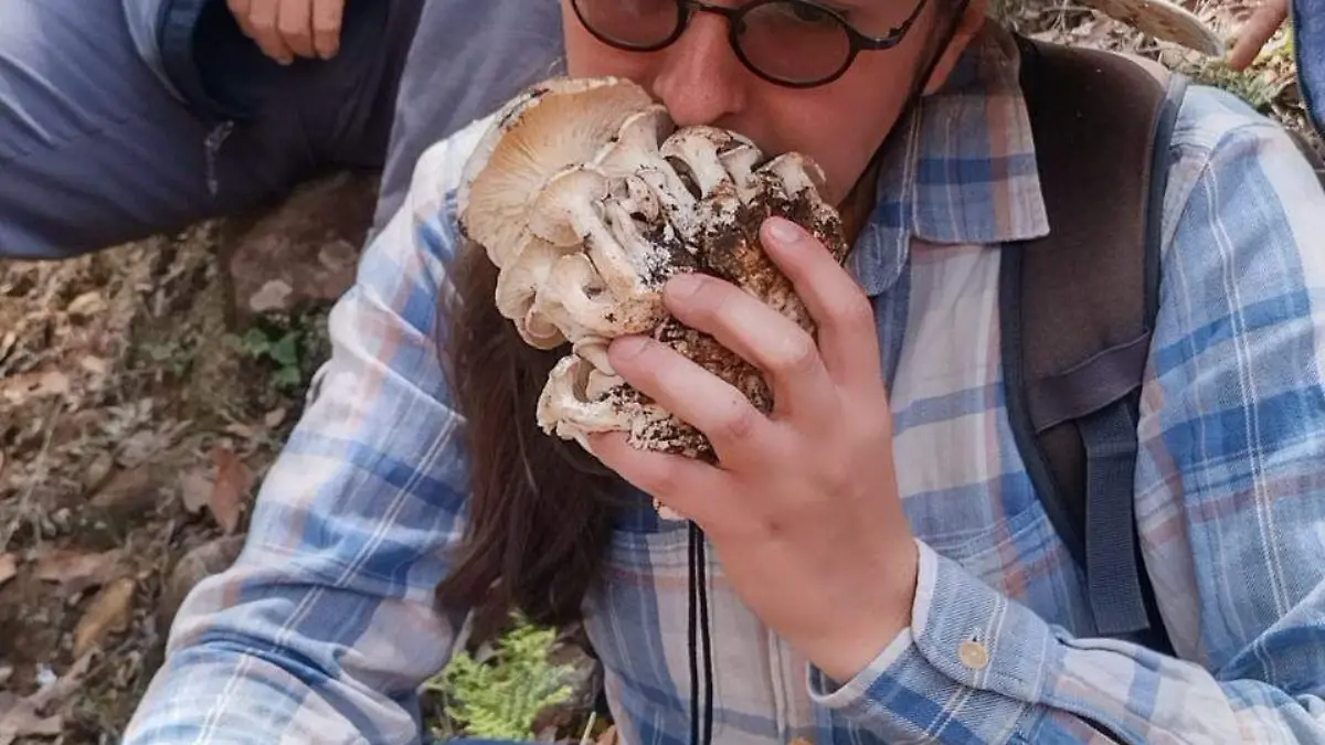 Hongos Amealco 3