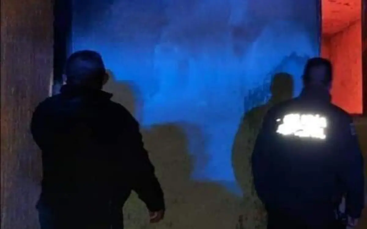 fcbdbd08-f512-4d26-9ac5-8a4e520c8937