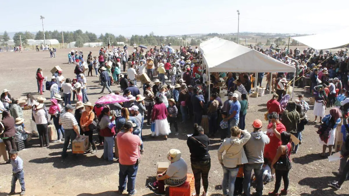 Alistarán las entregas masivas de pollitas para las comunidades amealcenses. Foto Cortesía.