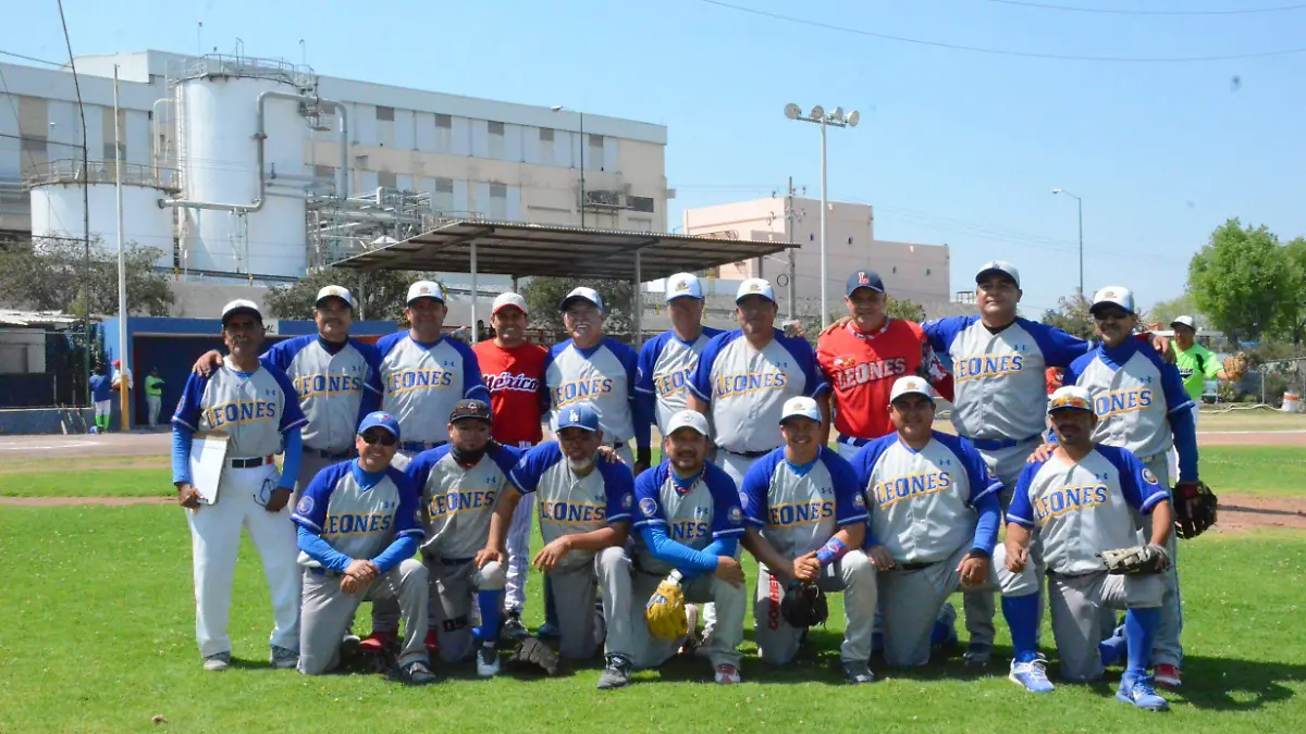 31 01 PRINCIPAL LOS FELINOS