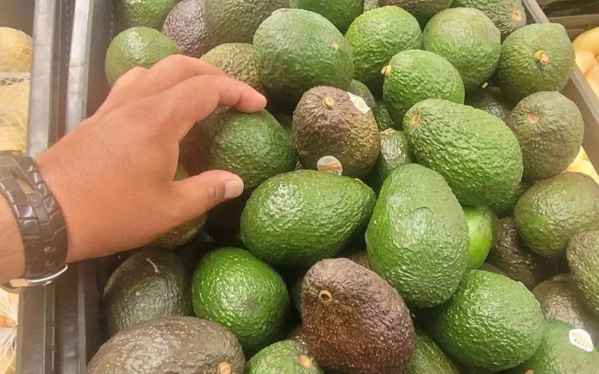 Aguacate