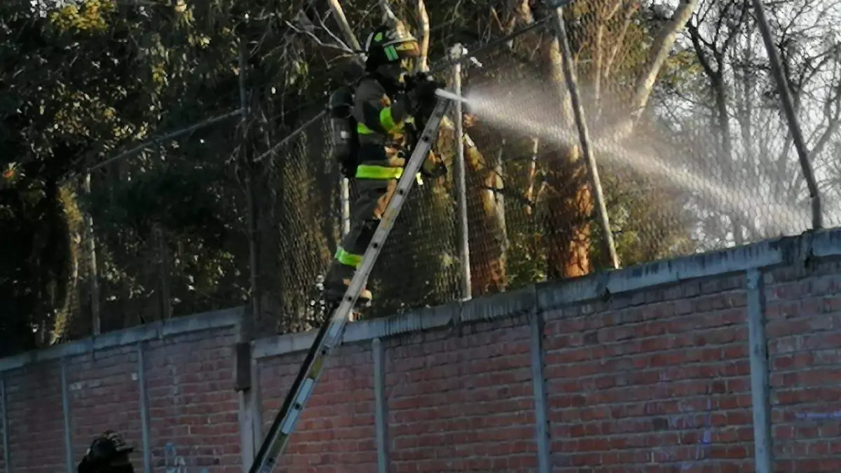 WhatsApp Image 2021-02-20 at 6.35.45 PM