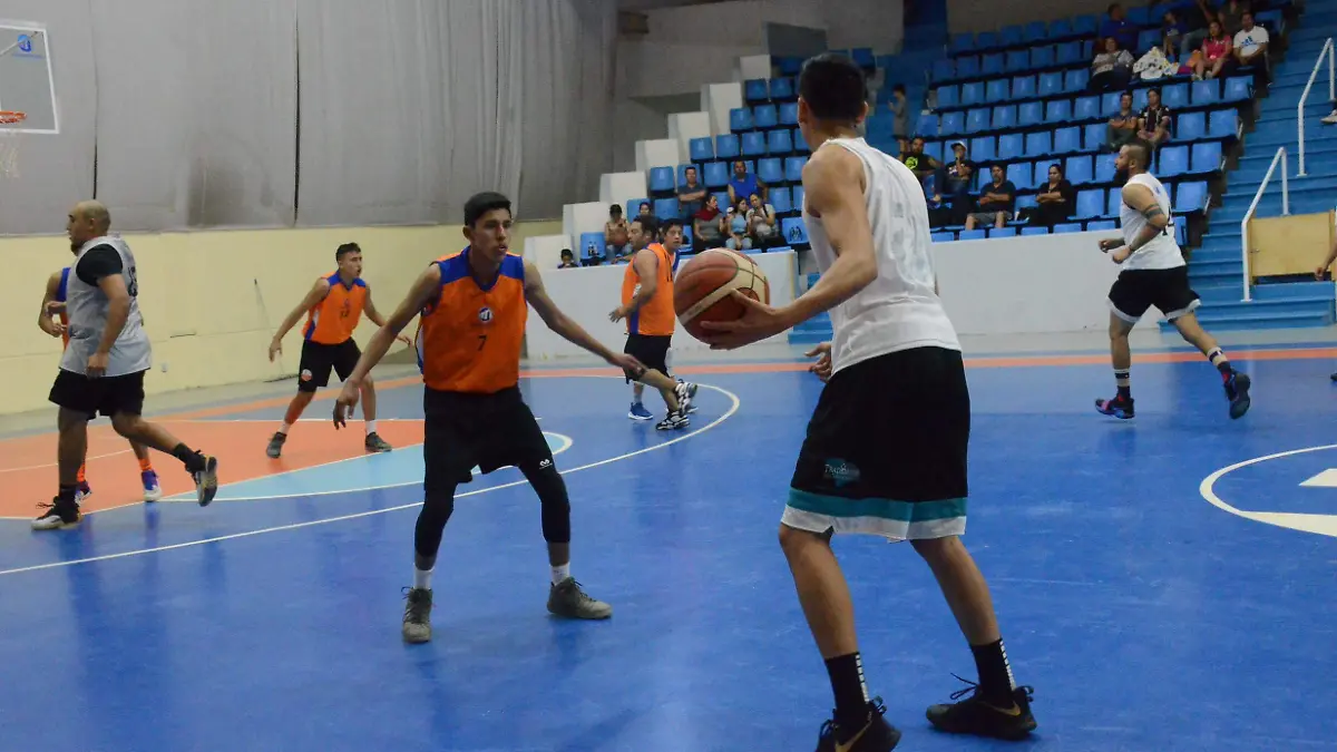 31 01 PRINCIPAL BOBCAT´S