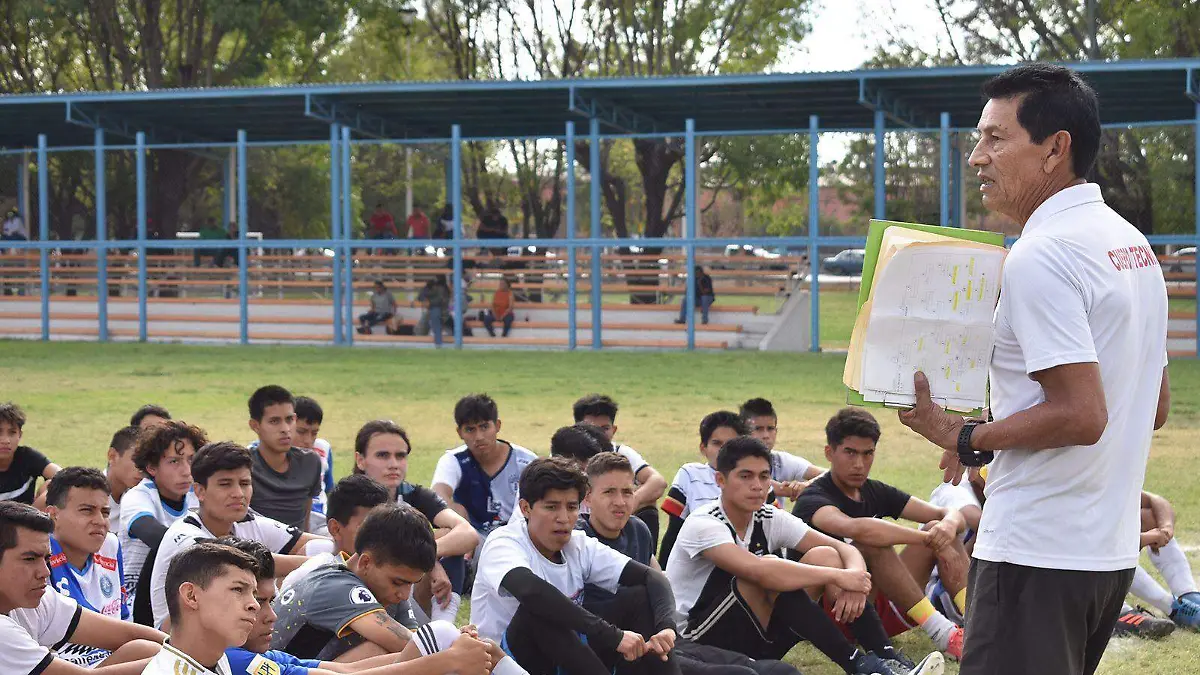 sjr Recibieron