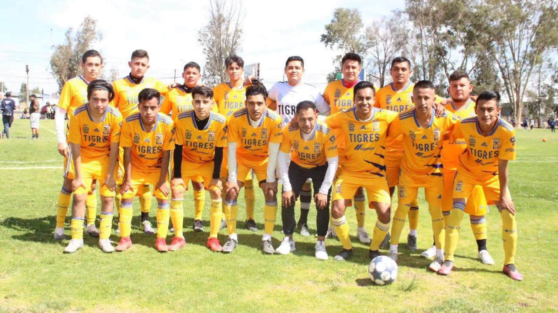 Tigres