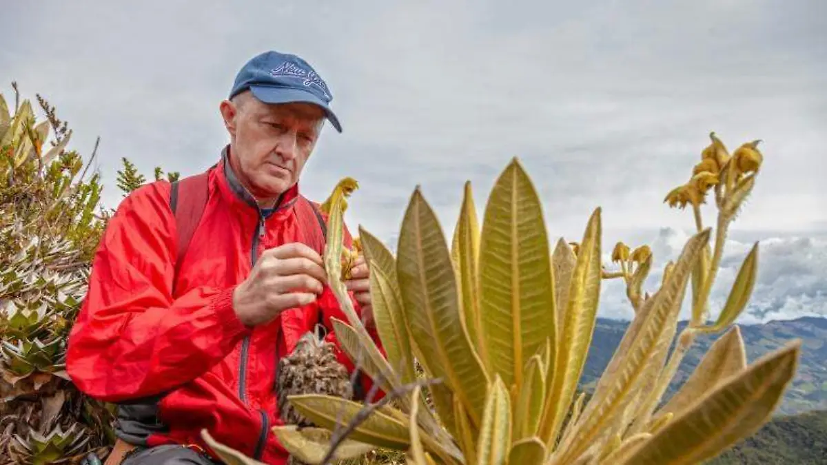 DESCUBREN FRAILEJÓN