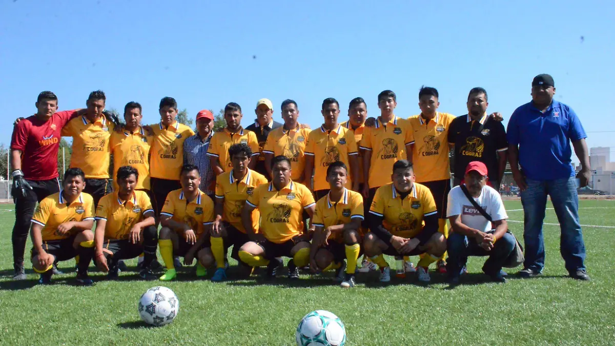 31 01 PRINCIPAL COBRAS