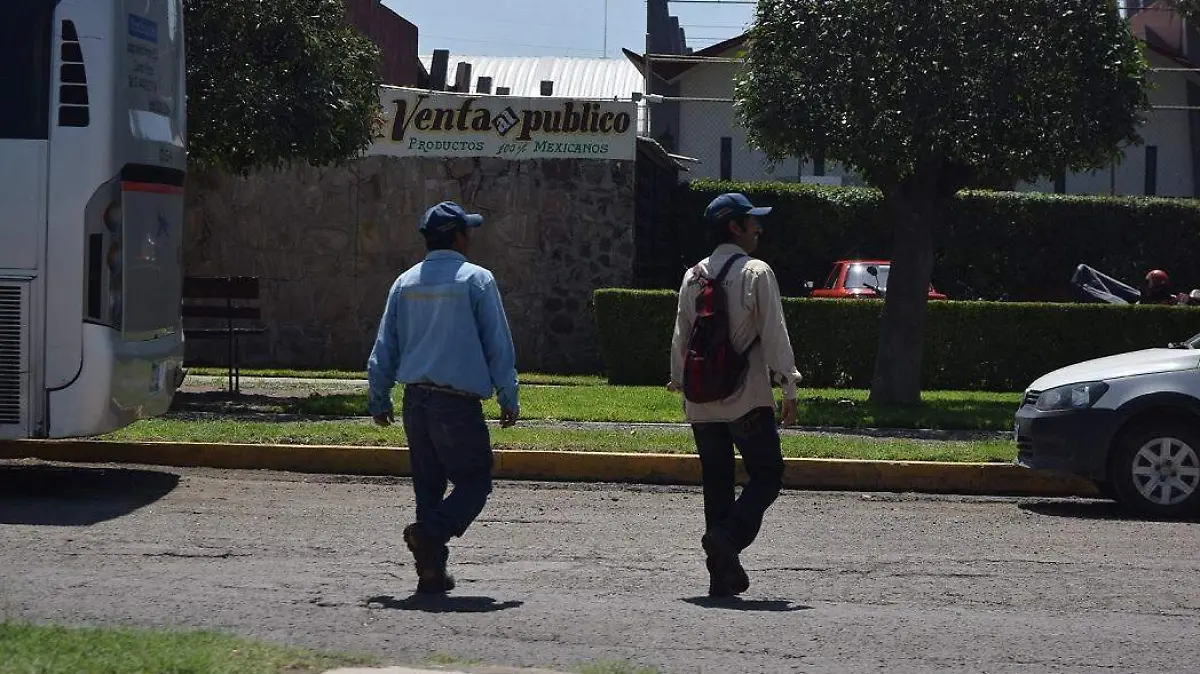 SJR Este año