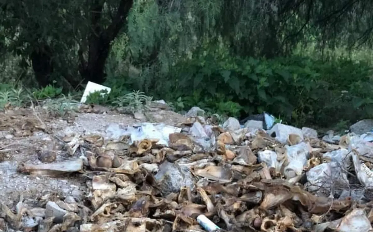 En el lugar hab_a residuos de animales que provocaban un fuerte olor.  Cortes_a Gobierno SJR.