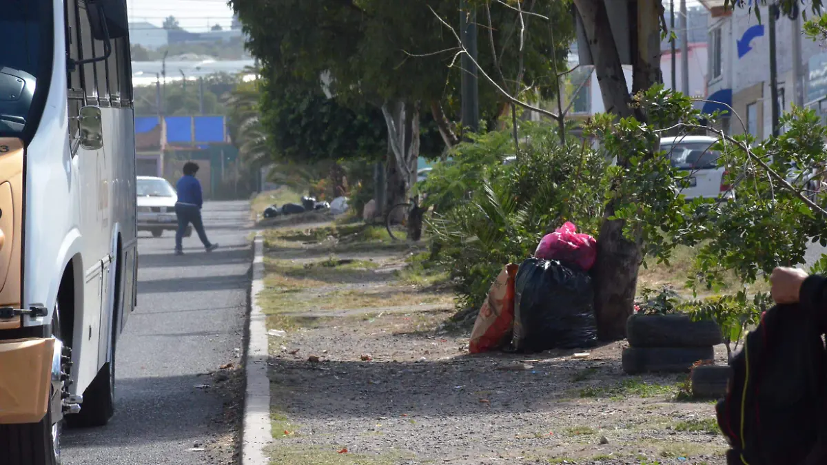 La proliferación de desechos ocasionó fauna nociva en tres localidades de San Juan del Río.