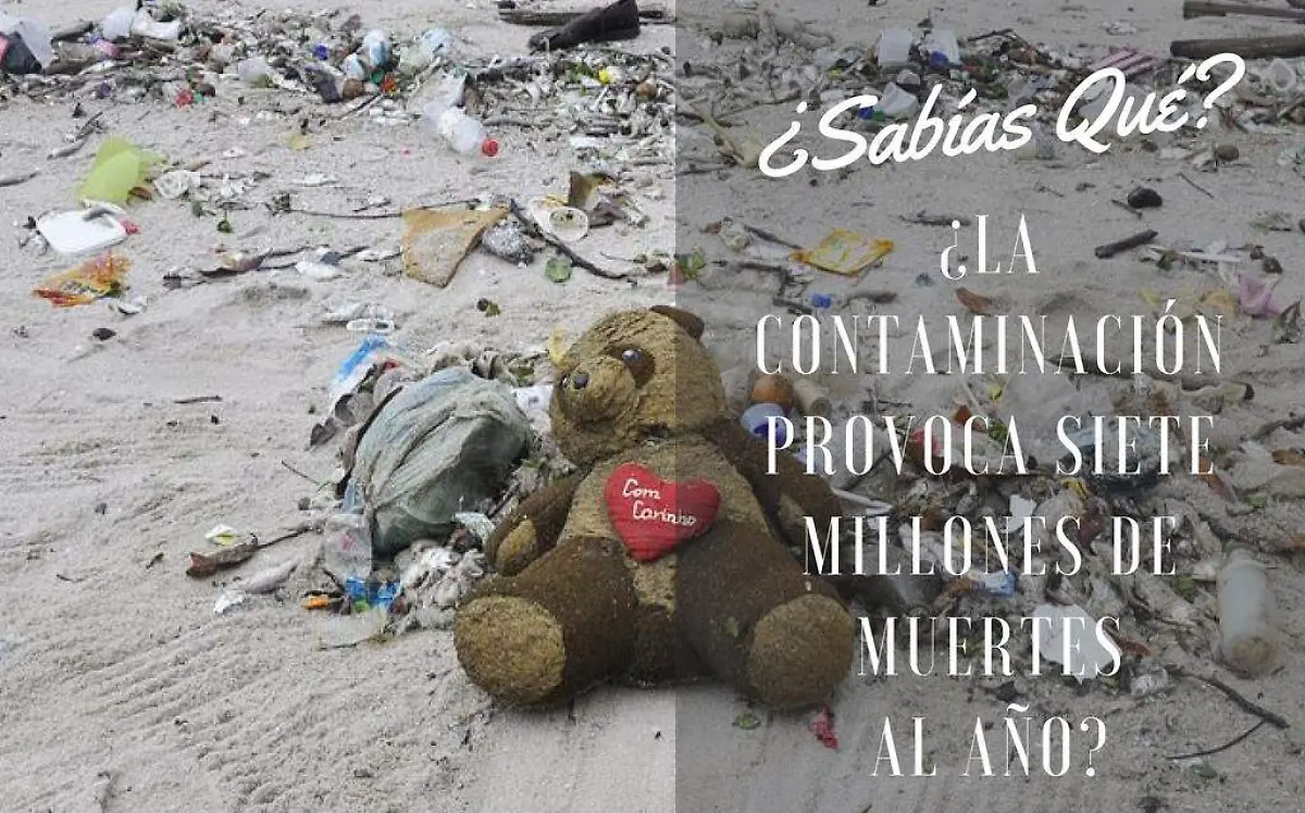 La contaminación provoca siete millones de muertes al año