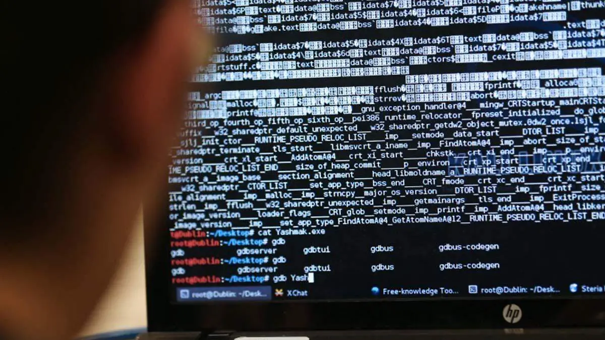 Hackers_AFP