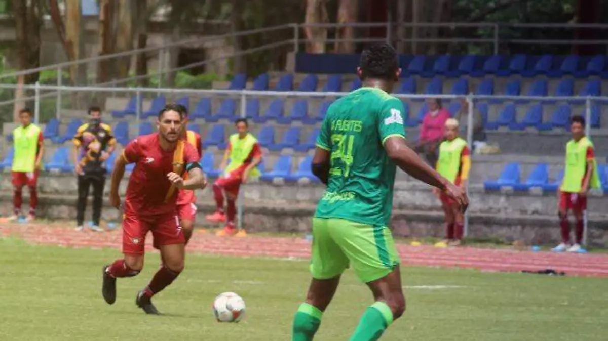 Halcones