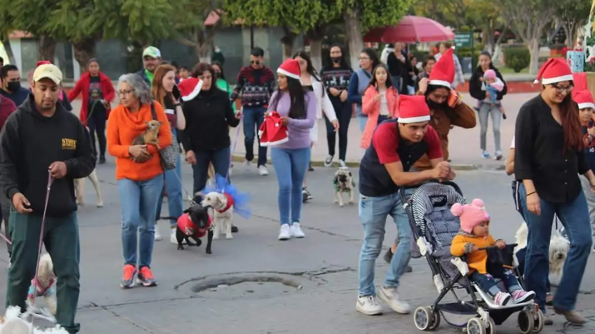 SJR Exhortan a familias