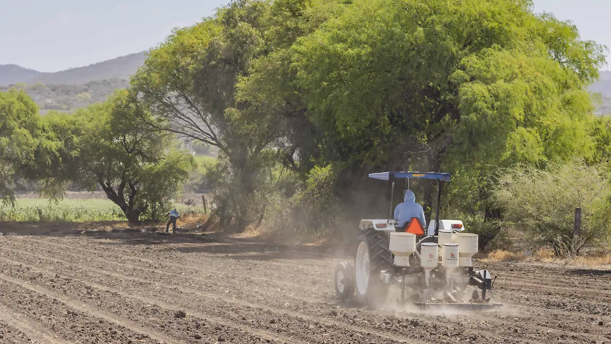 SJR Uno de los metodos