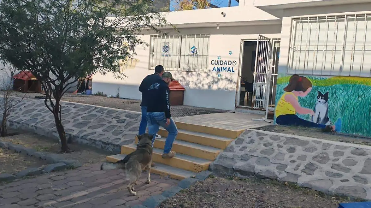 Tomará conocimiento la Profepa