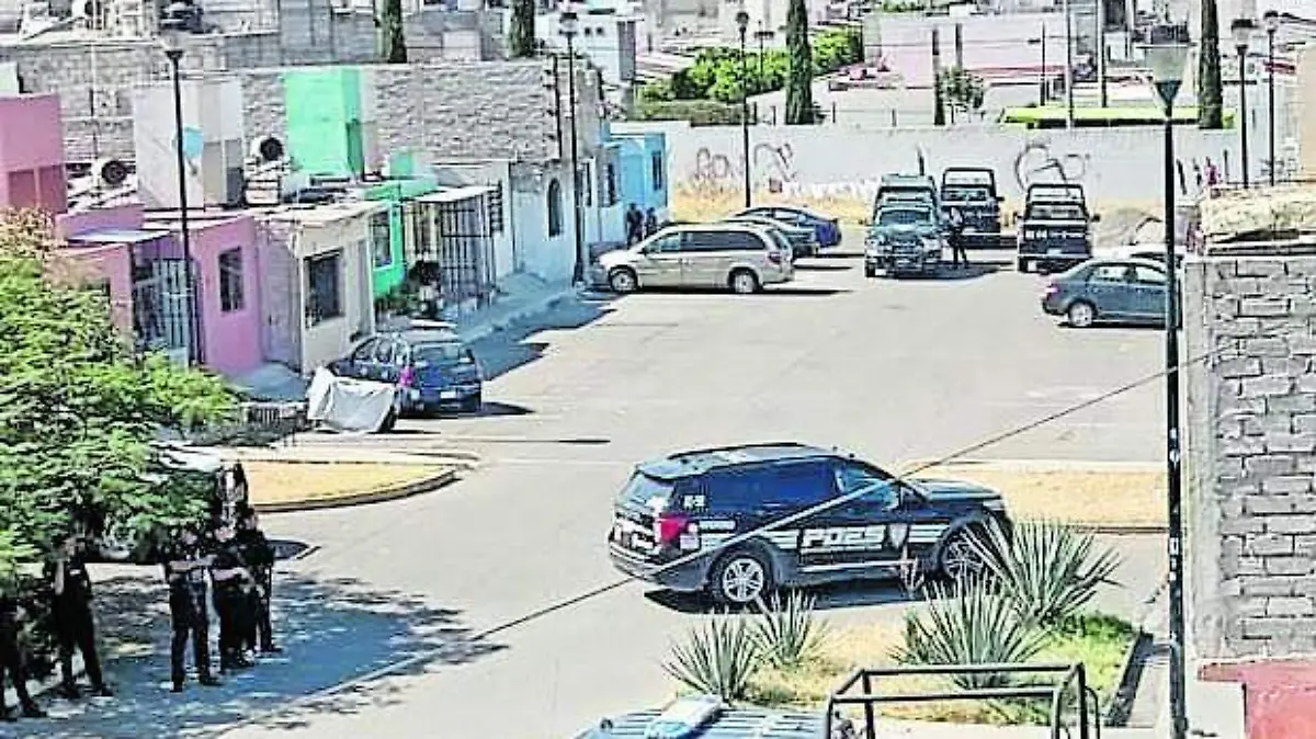 campales_CMYK