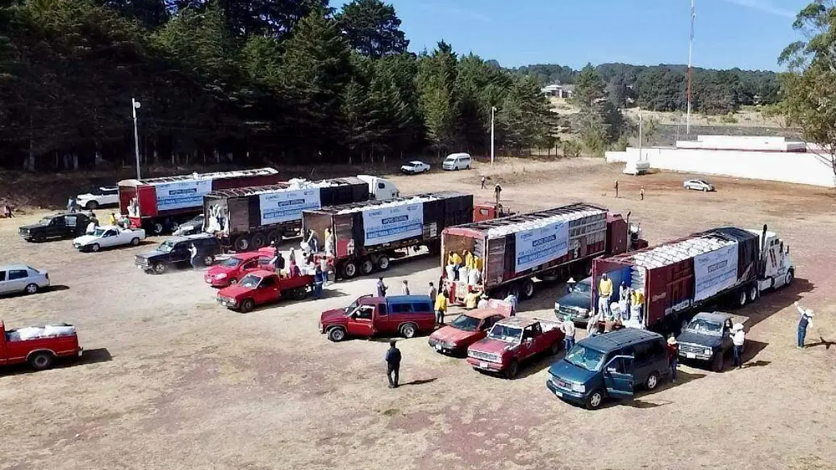 En diferentes modalidades