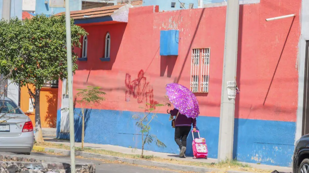 SJR Mayores