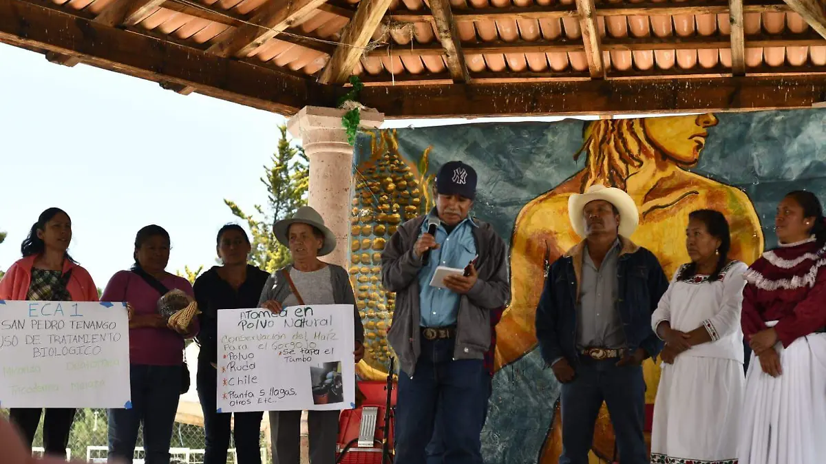 Adultos mayores comparten